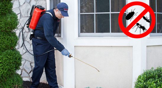 Ereğli Pire İlaçlama böcek ilaçlama ve haşere kontrolü — ilaclama-tr.com